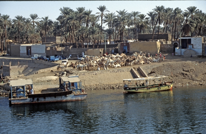 Auf der Reise nach Luxor, …