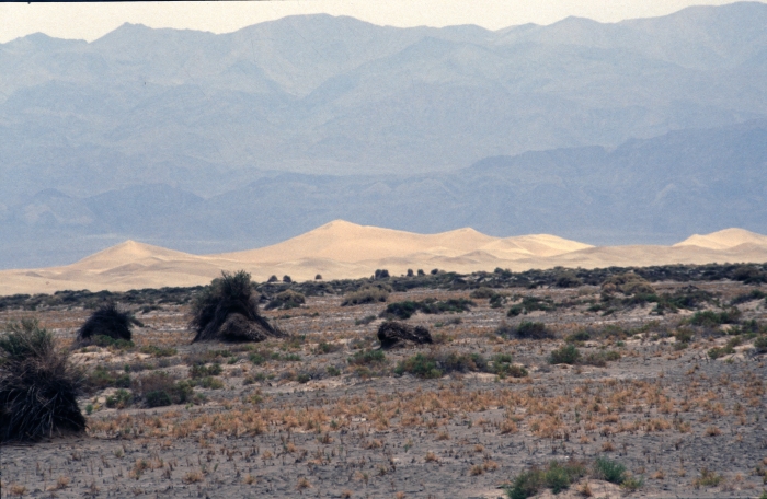 Devil's Cornfield und …