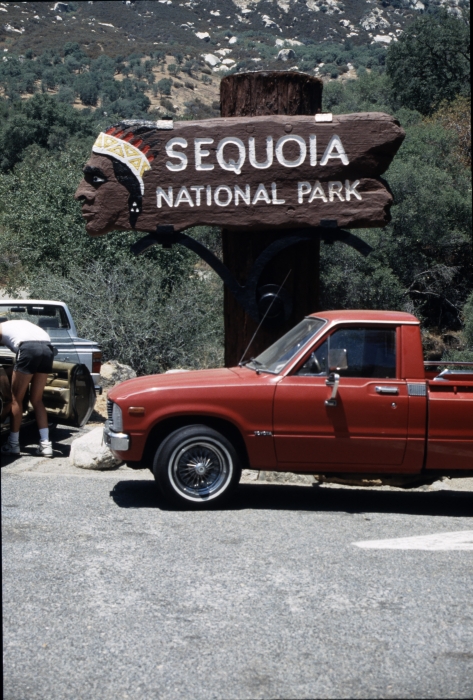 Der Sequoia NP mit …