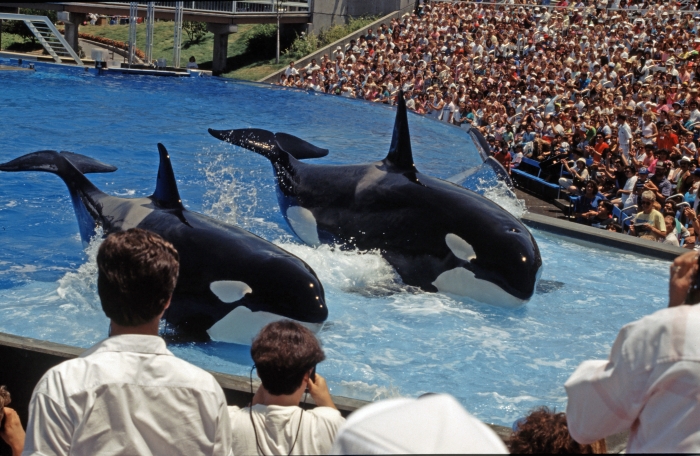 Die SeaWorld in San Diego …