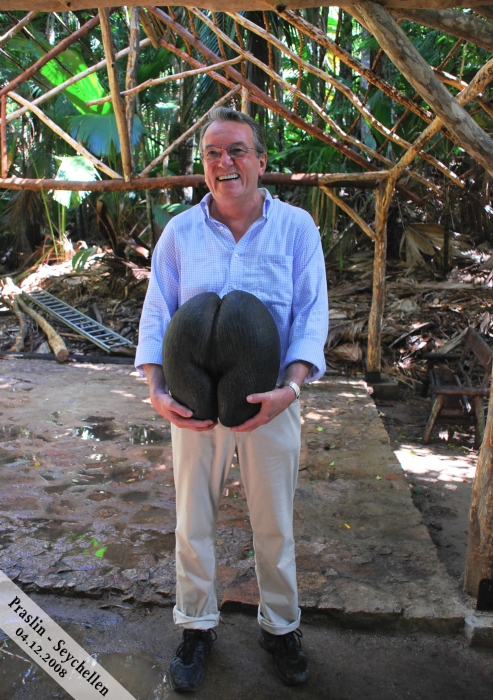 Die Coco de Mer (22kg) …