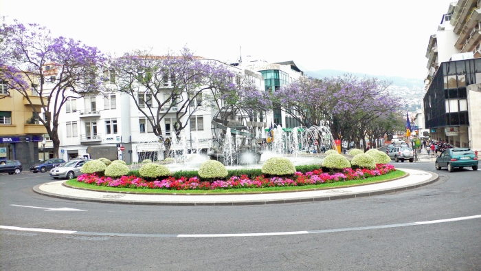 In der Hauptstadt Funchal …