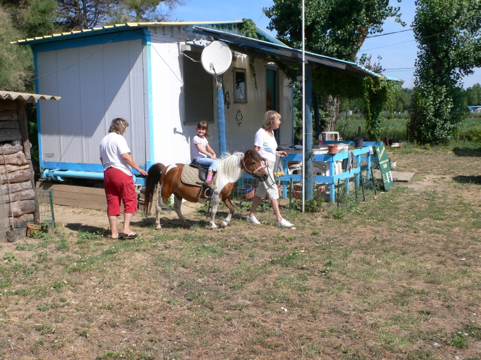 Der Traum vom Reiten …
