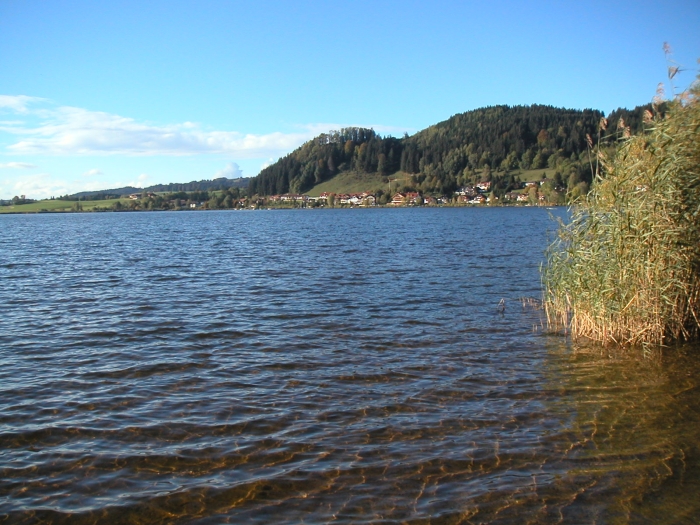 Der Hopfensee, unser …