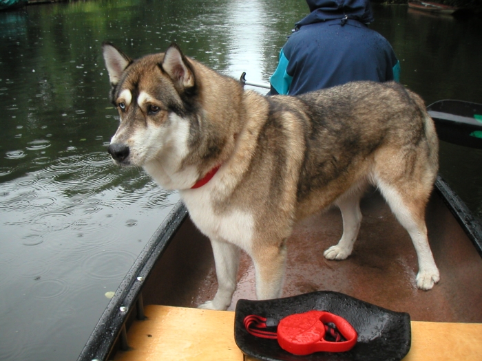 Nur unseren Yukon …