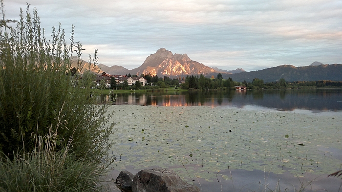 In der Abendsonne …