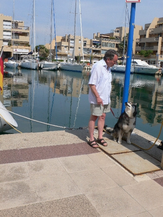 Im Hafen wurde Sam von …