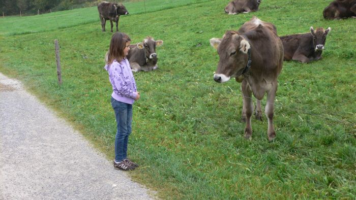 Michelle, wer hat mehr …