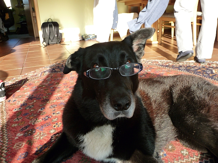 Paul muss seine Brille …