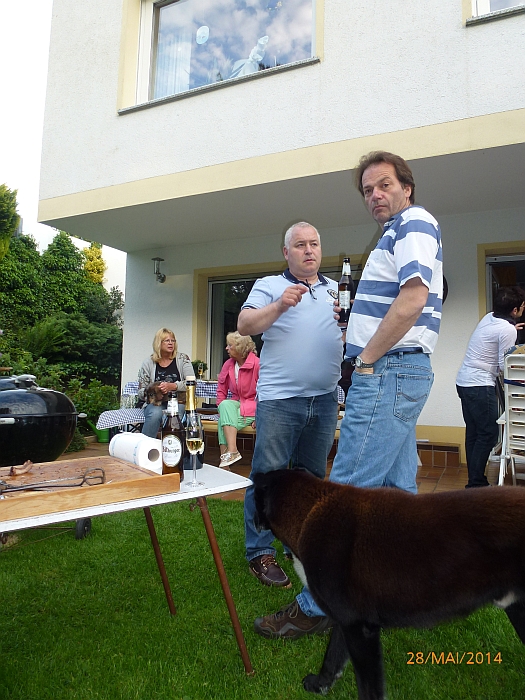 Hund und Menschen warten ...