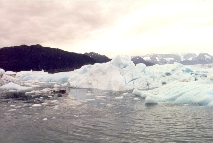 Der Prince William Sound …