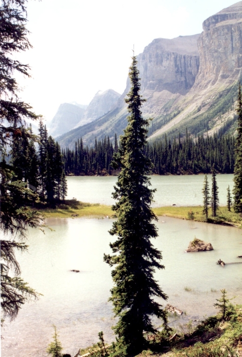 Der Maligne Lake, AB …