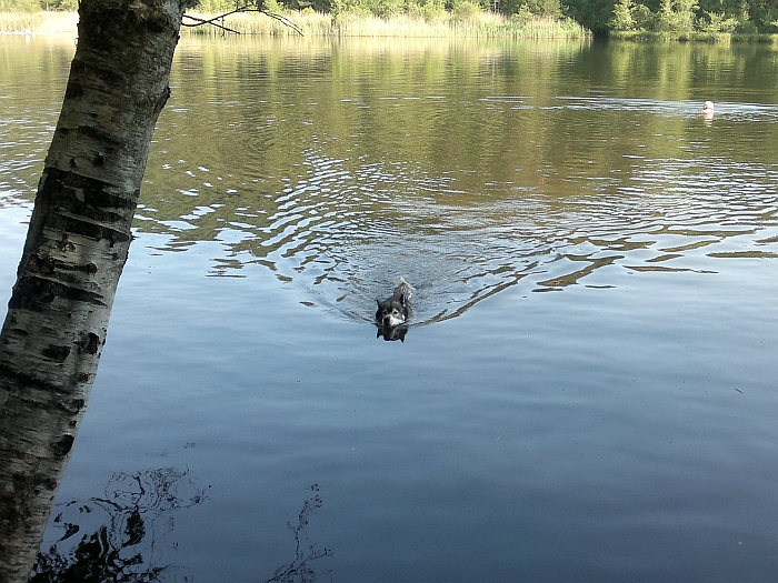 Ich komme gerade von …