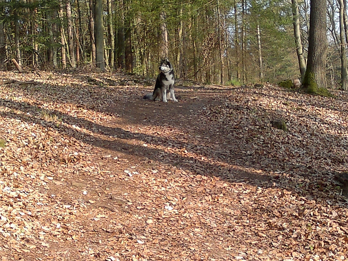 Hier scheiden sich immer …