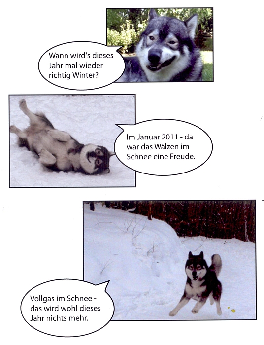 Was ist nur mit dem …
