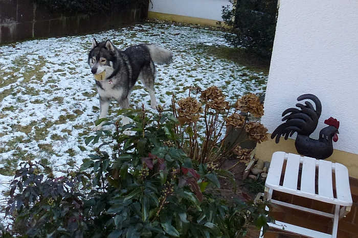 Oh, zu meinem …