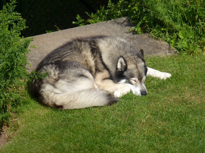Erst wenn dann die Sonne …