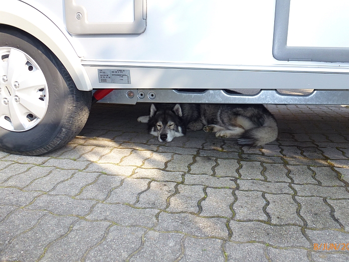 Vor der Haustür und doch …