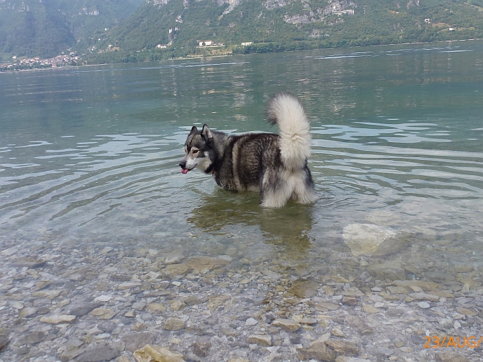 Zum Trinken gab es hier …