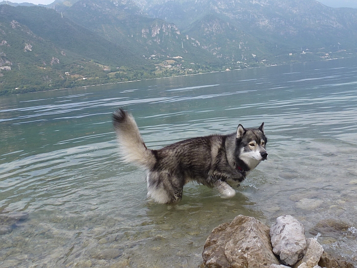 Mein Frauchen war auch …