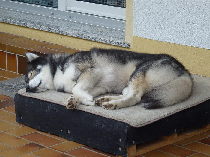 ER hat mir etwas Tolles …