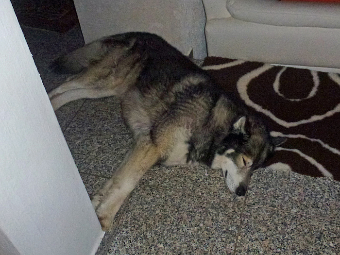 Im Haus mein Bett hat …