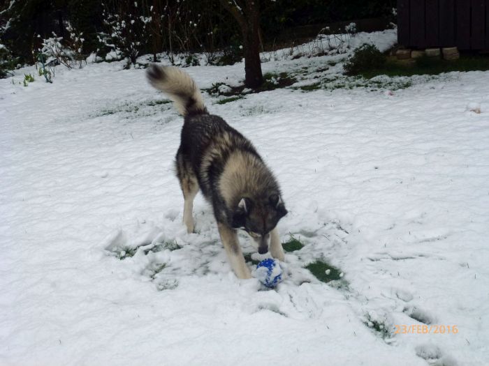 Der erste richtige Schnee …