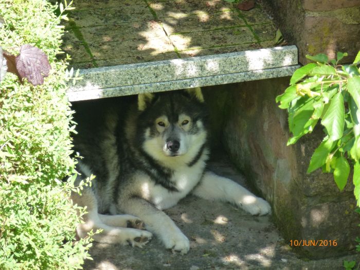 Endlich wieder neue Bilder …