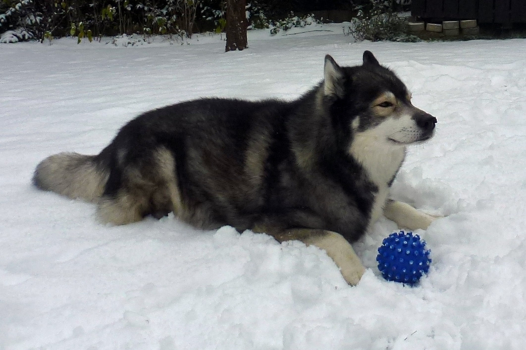 Dirk, was ist mit Dir? …