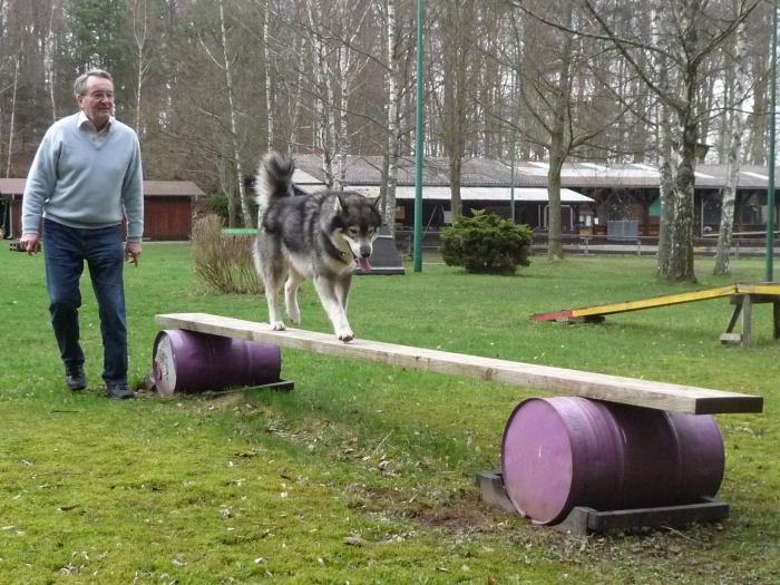 Eine Bohle auf Fässer …