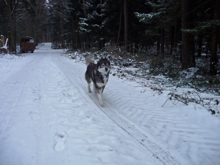Wo ist er denn jetzt …