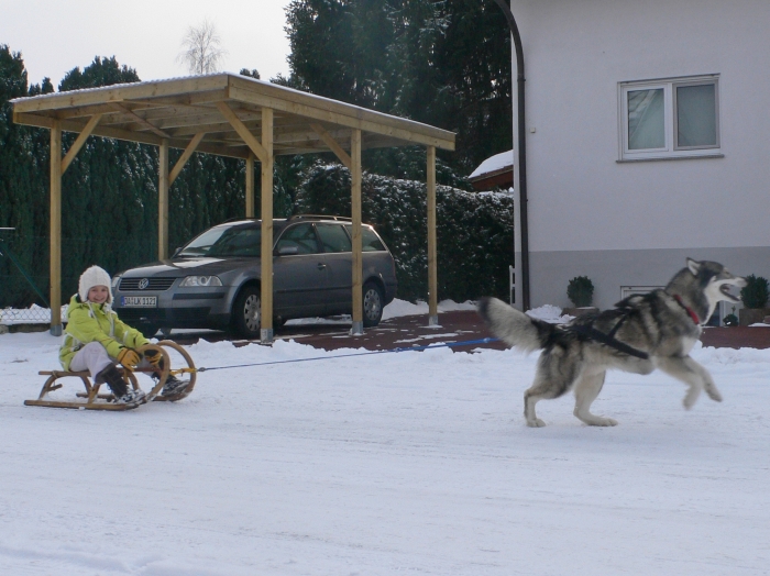 Das Gespann nimmt …