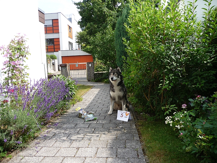 Jetzt geht SIE mit dem …