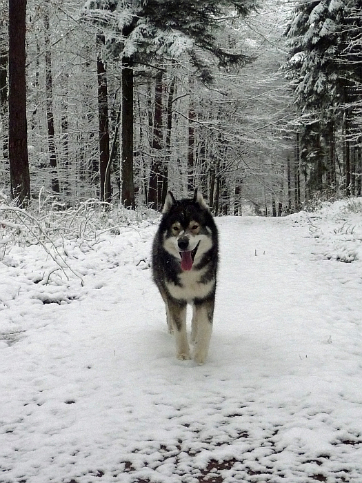 Dirk will nach drei Stunden …