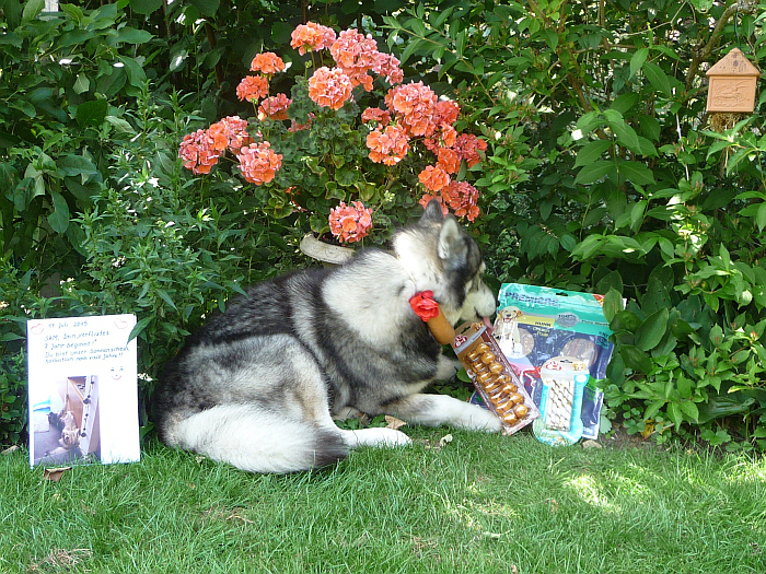 Mit der Fleischwurst um …