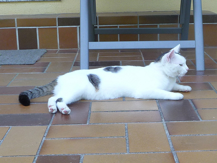 Er sieht im Moment nur …