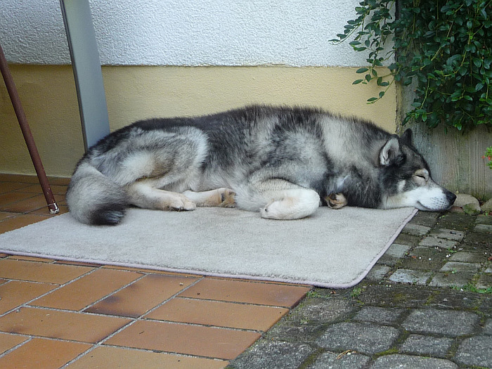 Ich hoffe nur, er lässt mich …