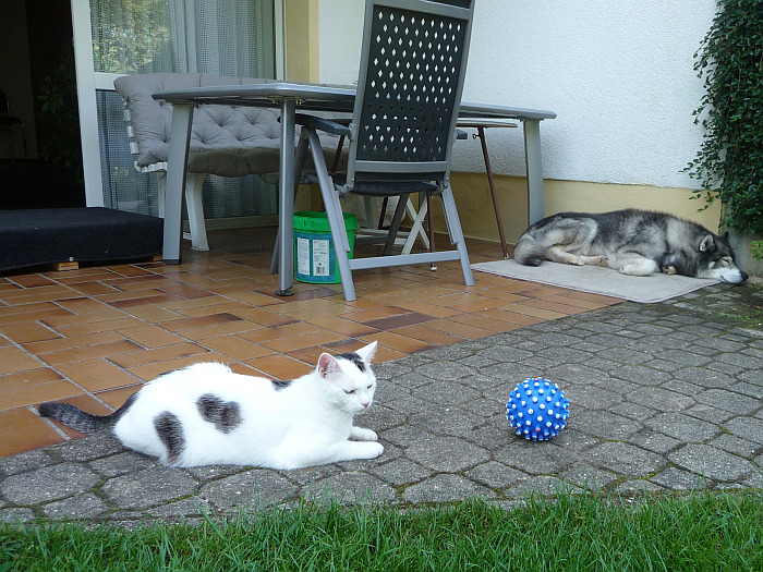 Das täuscht, der Ball ist nicht …
