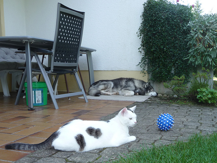 Der Zoo ist wieder bei uns …