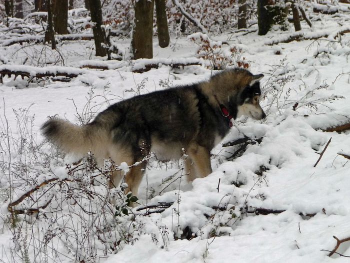 Da ist noch eine Stelle wo …