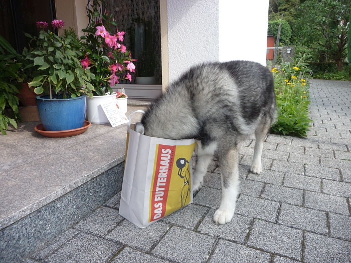 Ich bin wirklich schon 10 Jahre …