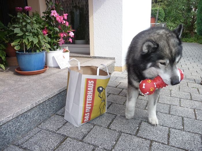 Toll - Ein Quietscheknochen …