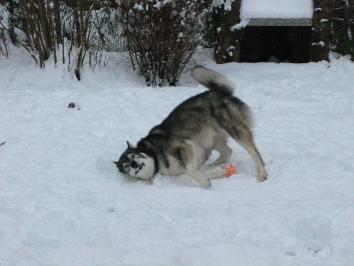 Der kalte Schnee ist eine …