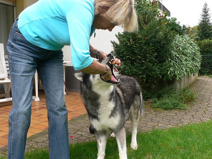 Keine Chance, sie hat …