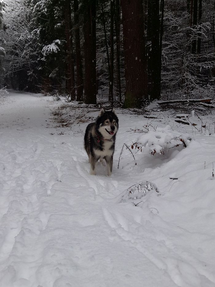 Endlich ist Winter, was an …