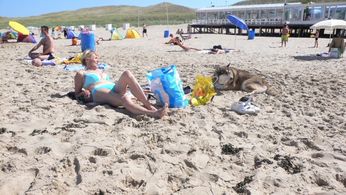 Schön warm …