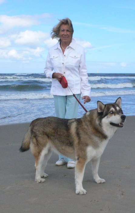 Am Strand von …