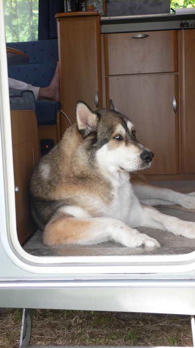 Im Wohnwagen …