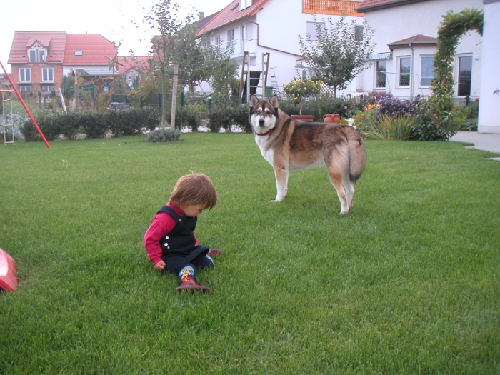 In Pfungstadt …