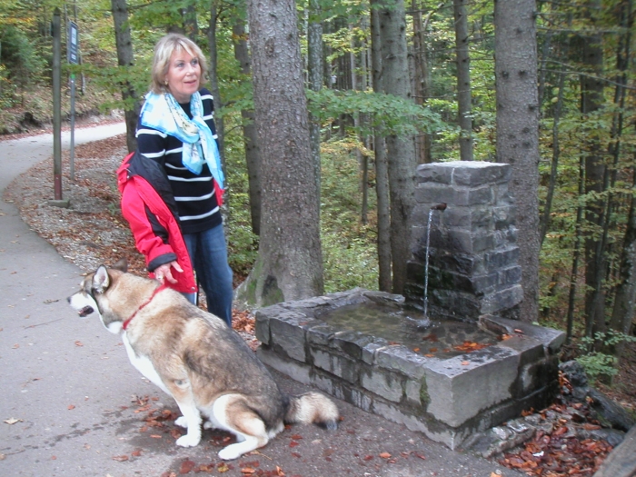 In dem Brunnen …
